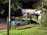 Temporal causa destelhamentos e derruba árvores em São Miguel do Oeste