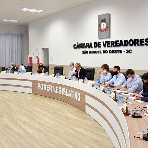 Câmara vota reposição anual de servidores e agentes políticos