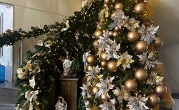 Descanso lança Concurso Natal Iluminado com prêmios e programação 