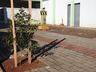 Urbanismo executa Plano de Arborização em São Miguel do Oeste