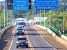 Para passagem de elefanta, fronteira entre Brasil e Argentina é reaberta