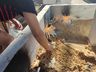 Véspera de feriado, fluxo de pessoas no cemitério São José e Almas foi baixo