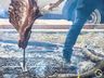 São Miguel Tchê teve público de cerca de 10 mil pessoas; fotos