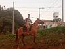 Jovem é filmado em ‘delivery com égua’ em SC e vídeo viraliza