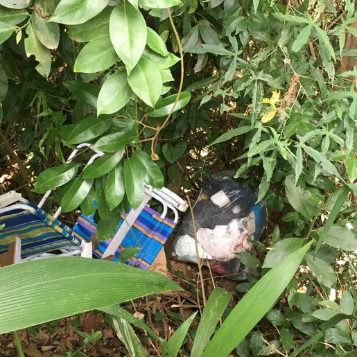 Morador flagra despejo irregular de lixo no interior de Descanso