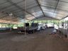 CCO da Expo Guarujá está em contagem regressiva
