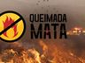 VÍDEO: Aumento de incêndios deixa capacidade de atendimento dos bombeiros no limite 