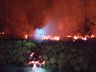 Incêndio florestal mobiliza Corpo de Bombeiros por quatro horas 
