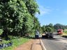Três mortes em acidente entre carro e caminhão na SC-157