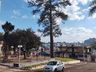 Setor de Meio Ambiente inicia desenvolvimento do projeto de arborização