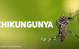 Agentes de endemias alerta para riscos da Chikungunya e intensifica tratamento de caixas d'água