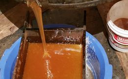 Colheita do mel anima apicultores de Iporã do Oeste, mas dificuldade está na comercialização