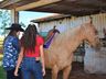 VÍDEO: Relação entre humanos e cavalos traz benefícios para o corpo e mente 