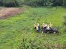 Mulher morre em capotamento na SC-283