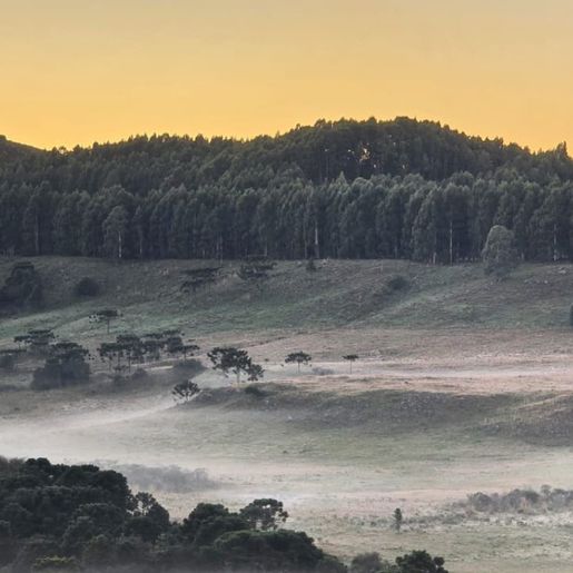 SC amanhece com campos cobertos por geada e temperaturas “congelantes”