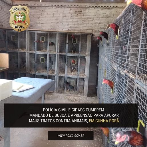 Polícia localiza criador clandestino de animais no interior de Cunha Porã