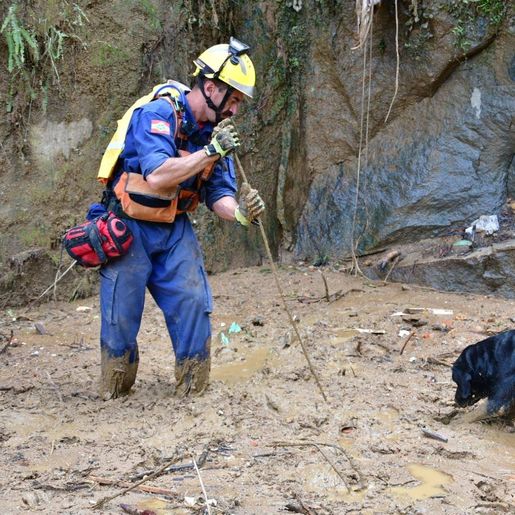 Bombeiro de SC que está em Petrópolis descreve tragédia: "Cena de guerra"