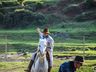 1º Torneio de Tiro de Laço de Vaca Mecânica movimenta Semana Farroupilha