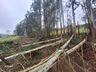 Veja a cobertura completa e as fotos do temporal que causou estragos em São Miguel do Oeste