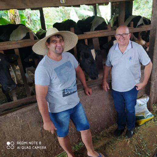 Serviços na Agricultura de São José do Cedro são concentrados na silagem e distribuição d’água