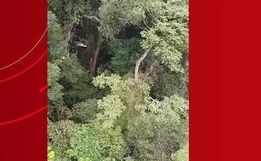 FAB investiga queda de avião que causou mortes de ex-diretor da Odebrecht e piloto