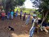 Profissionais da Epagri realizam capacitação técnica em Apicultura 