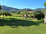 Grupo de Saúde Mental visita horto medicinal em Palma Sola 