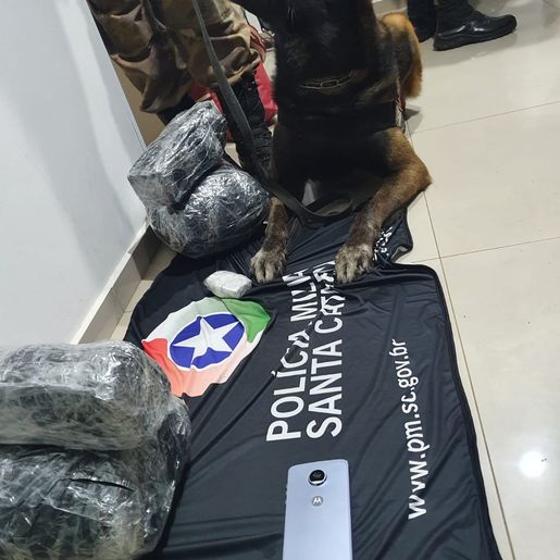 Passageira de ônibus é presa com 5kg de maconha na rodoviária de SMOeste 