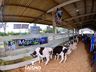 Confira fotos de domingo da maior feira multisetorial da região