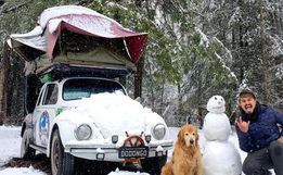 Acidente nos EUA mata influenciador e golden retriever de SC que viajavam em Fusca