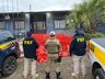 PRF e PMRv apreendem camioneta clonada e com 632 quilos de maconha em SC