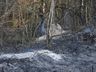 VÍDEO: Aumento de incêndios deixa capacidade de atendimento dos bombeiros no limite 