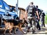 Investigação da DIC resulta na prisão de 3 pessoas por tráfico de drogas em SMO
