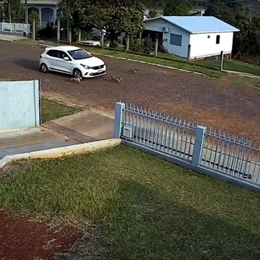 VÍDEO: Polícia Civil de Belmonte identifica autor de maus-tratos contra animais