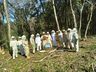 Epagri realiza mais uma capacitação técnica com apicultores