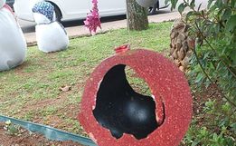 Ornamentação natalina é alvo de vandalismo na praça de Iporã do Oeste