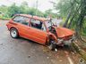 VÍDEO: Carro sai da pista e colide contra árvore na SC 163