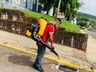 Itapiranga realiza dedetização das bocas de lobo 