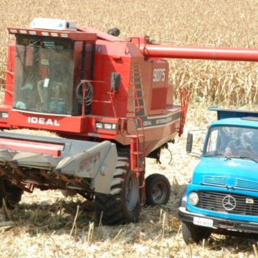 Epagri prevê melhora na produção agrícola na safra 2024/2025 no Extremo Oeste