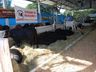Segundo dia de Itaipu Rural Show reúne palestras e networking em Pinhalzinho 