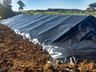 Município de Palma Sola auxilia na construção de cisternas