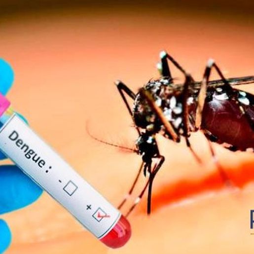 Confirmado o primeiro caso de dengue em Princesa em 2025