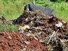Morador denuncia descarte irregular de entulhos no bairro Progresso