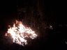 Incêndio volta atingir área de reflorestamento em São José do Cedro