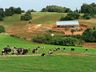 Capacitação sobre nutrição rentável de vacas leiteiras reúne produtores em Bandeirante 