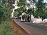 Motociclista sofre ferimentos graves em acidente com quatro veículos na SC 283