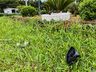 Motorista danifica trevo de São Miguel do Oeste; confira o vídeo