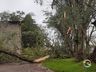 Temporais causam estragos em Itapiranga