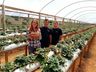 Epagri promove encontro estadual de jovens dia 16 de outubro