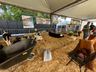 Mais de 100 expositores movimentam a Expo Campo Erê 2025